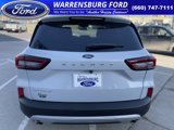 New 2025 Ford Escape Active w/ Cold Weather Package image 6