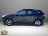 Used 2022 Ford Escape SE w/ Convenience Package image 5