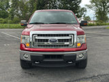 Used 2014 Ford F150 XLT w/ Equipment Group 302A Luxury image 2