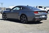 New 2024 Ford Mustang Coupe image 4