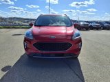 Used 2020 Ford Escape SEL image 2