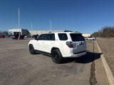 Used 2023 Toyota 4Runner SR5 Premium image 4