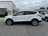 Used 2017 Ford Escape SE image 2