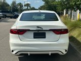 Used 2024 Jaguar XF R-Dynamic SE image 3