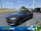 Used 2022 Ford Mustang Premium image 4