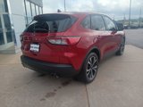 Used 2022 Ford Escape SE w/ SE Sport Appearance Package image 6