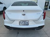 Used 2021 Cadillac CT4 Luxury w/ Sun And Sound Package image 4