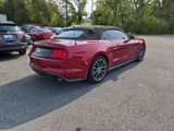 Used 2019 Ford Mustang Premium w/ Equipment Group 201A image 3