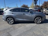 Used 2021 Lexus NX 300 AWD w/ Premium Package image 6