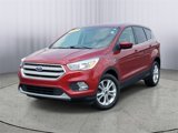 Used 2019 Ford Escape SE image 1