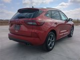 Used 2024 Ford Escape ST-Line image 4