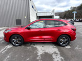 Used 2024 Ford Escape ST-Line image 2
