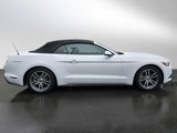 Used 2015 Ford Mustang Premium image 6