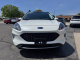 Used 2022 Ford Escape SEL image 6