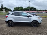 Used 2022 Ford EcoSport SE image 4