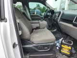 Used 2015 Ford F150 XLT w/ Equipment Group 302A Luxury image 5