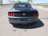 Used 2017 Ford Mustang Premium image 3