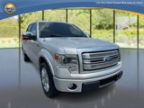 Used 2013 Ford F150 Platinum image 3