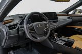 Used 2022 Lexus ES 300h w/ Premium Package image 3