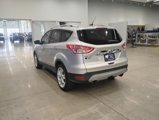 Used 2014 Ford Escape Titanium w/ Equipment Group 401A image 6