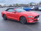 Used 2022 Ford Mustang Premium image 2