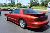 Used 2002 Pontiac Firebird Trans Am image 6