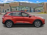 Used 2020 Ford Escape SEL image 2