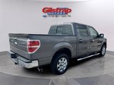 Used 2013 Ford F150 XLT w/ Luxury Equipment Group image 5