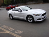 Used 2017 Ford Mustang Coupe image 4