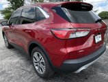 Used 2022 Ford Escape SEL image 5