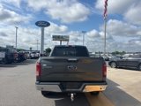 Used 2016 Ford F150 XLT w/ Equipment Group 302A Luxury image 4