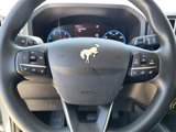 Used 2024 Ford Bronco Sport Big Bend image 2