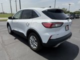 Used 2022 Ford Escape SE w/ Convenience Package image 4