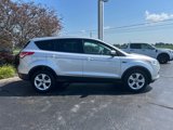 Used 2014 Ford Escape SE image 2
