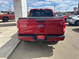 Used 2017 Ford F150 XLT w/ Equipment Group 302A Luxury image 4