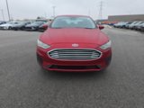 Used 2020 Ford Fusion SE image 3