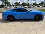 Used 2024 Ford Mustang Coupe image 5