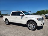 Used 2014 Ford F150 Limited image 2