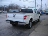 Used 2013 Ford F150 XLT w/ Luxury Equipment Group image 4