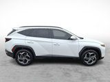 Used 2022 Hyundai Tucson Limited image 6