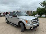 Used 2013 Ford F150 XLT w/ Luxury Equipment Group image 2