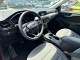 Used 2021 Ford Escape S image 2