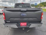 Used 2019 Ford F150 XLT w/ Equipment Group 302A Luxury image 4
