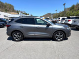 Used 2024 Ford Escape ST-Line image 5