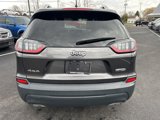 Used 2019 Jeep Cherokee Latitude Plus w/ Cold Weather Group image 6