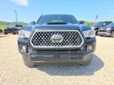 Used 2019 Toyota Tacoma TRD Sport image 2