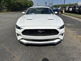 Used 2021 Ford Mustang Coupe w/ Equipment Group 101A image 2