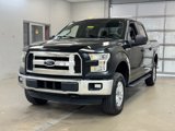 Used 2015 Ford F150 XL w/ Equipment Group 101A Mid image 3