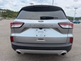 Used 2022 Ford Escape SEL image 4