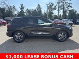 New 2025 Ford Escape ST-Line w/ Tech Pack #1 image 2